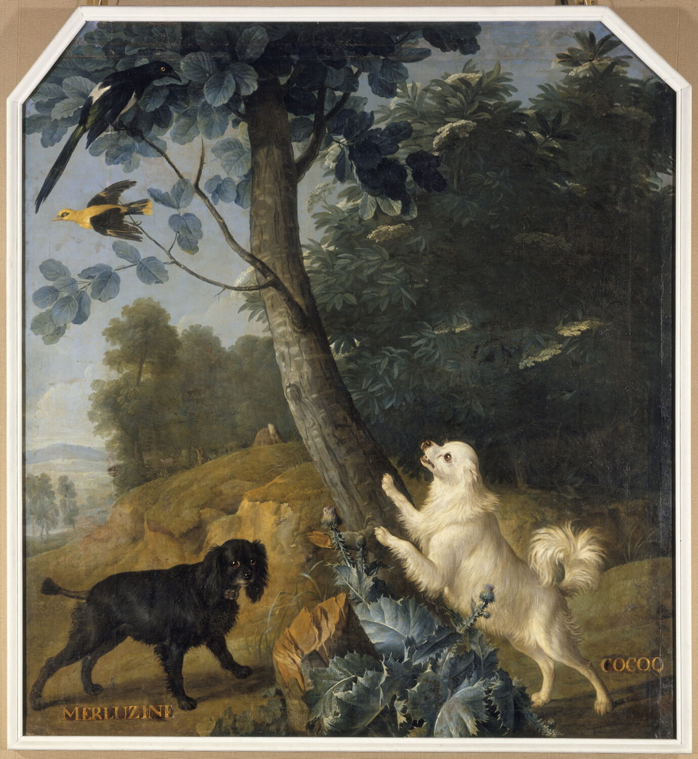 Merluzine et Cocoq, chiennes de Louis XV, Desportes, Alexandre-François, 2e quart du XVIIIe siècle (1739)