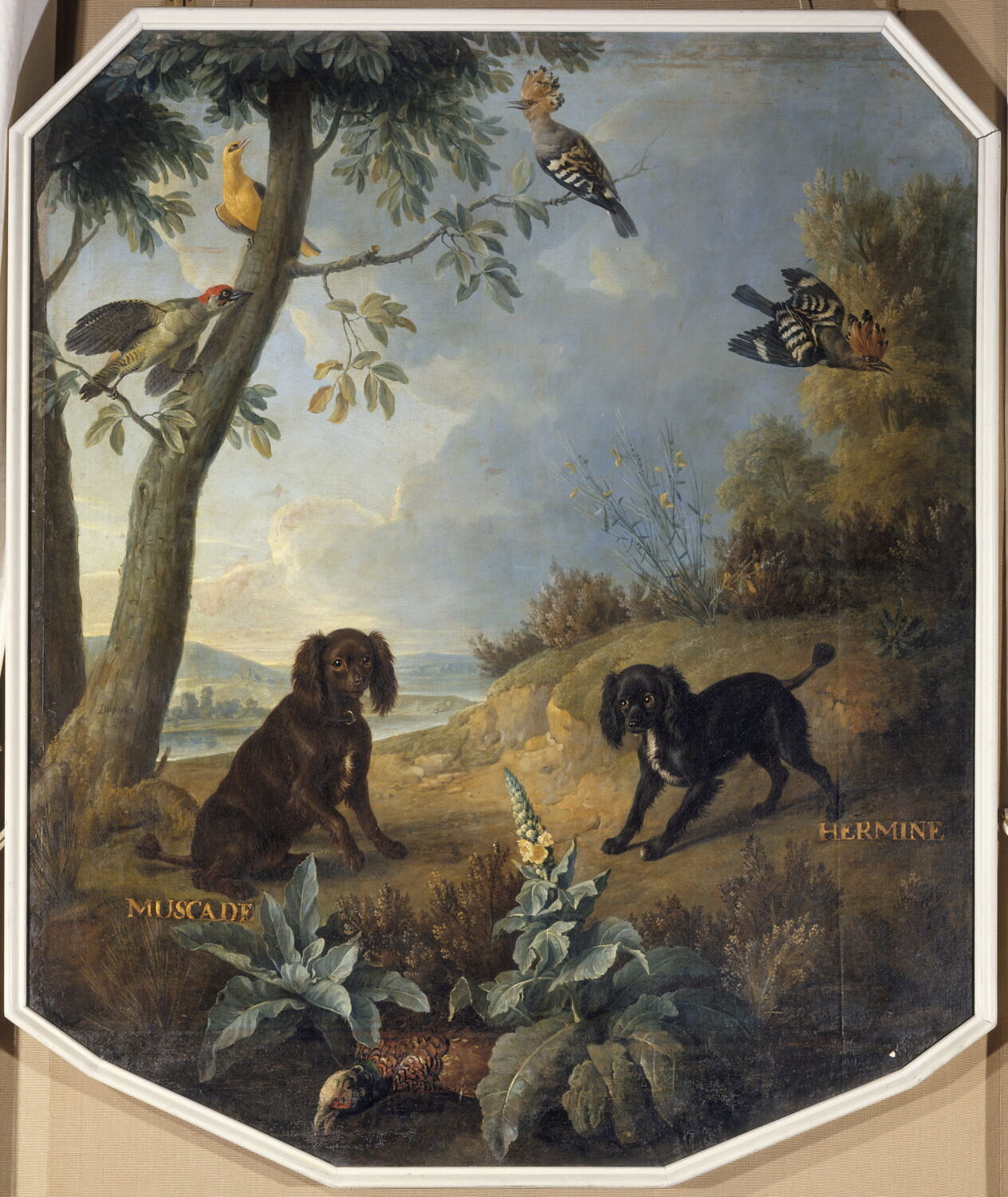 Muscade et Hermine, chiennes de Louis XV, Desportes, Alexandre-François, 2e quart du XVIIIe siècle (1739)