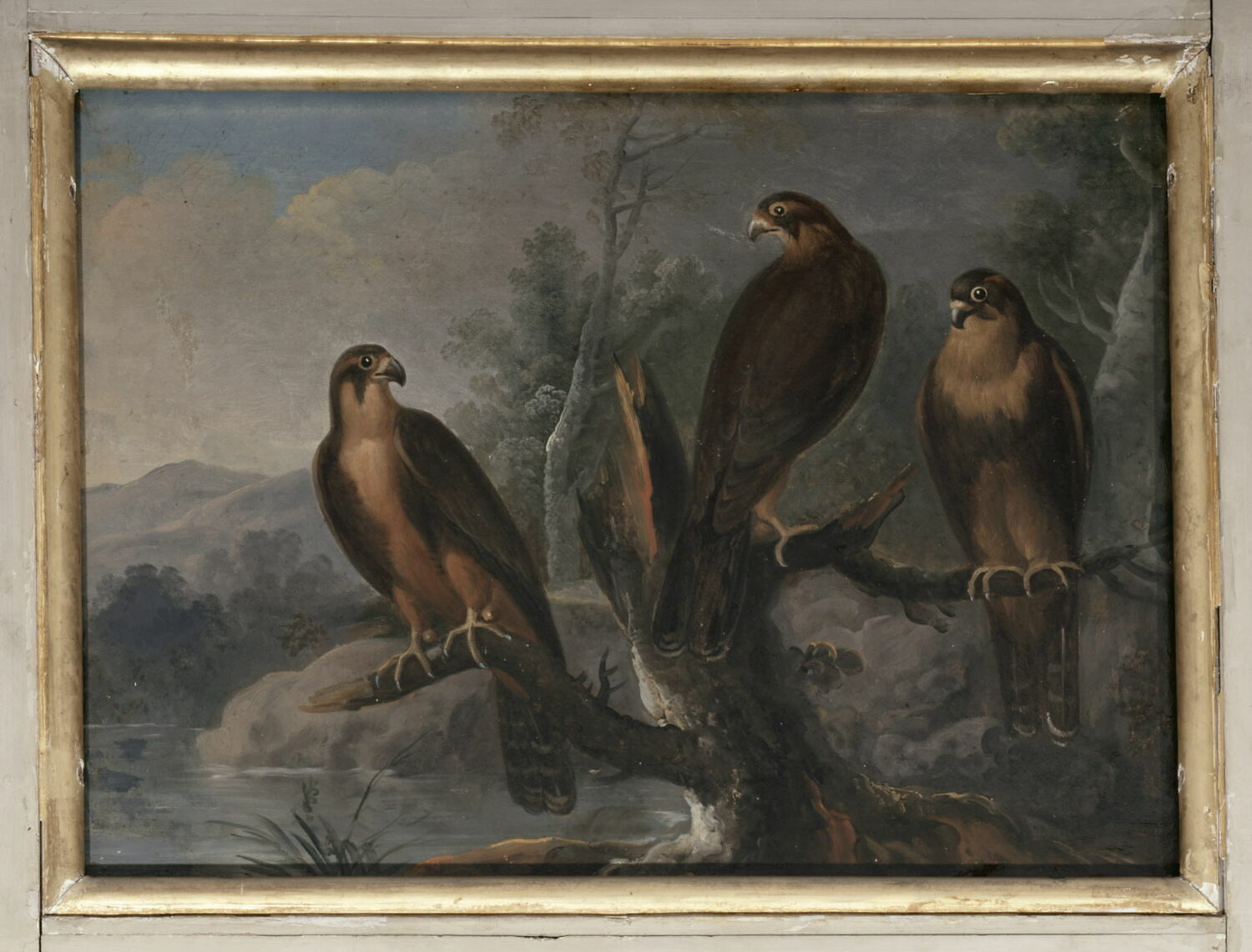 Trois petits oiseaux de proie, Anonyme, XVIIe siècle (1600 - 1700)