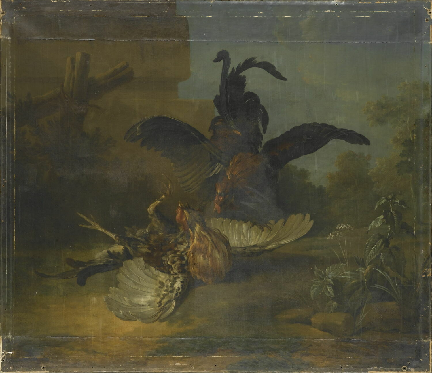 Combat de deux coqs, Oudry, Jean-Baptiste, XVIIIe siècle (Salon de 1750) (1750)