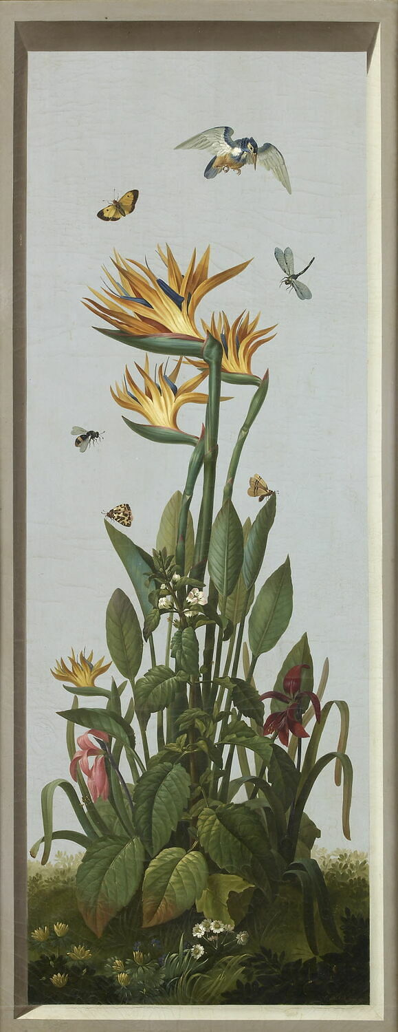 Huit tableaux représentant diverses espèces de lys : Lilium candidum (Lis blanc), Amaryllis belladonna (Amaryllis belladonne), Dubois, Étienne, XIXe siècle (1810)