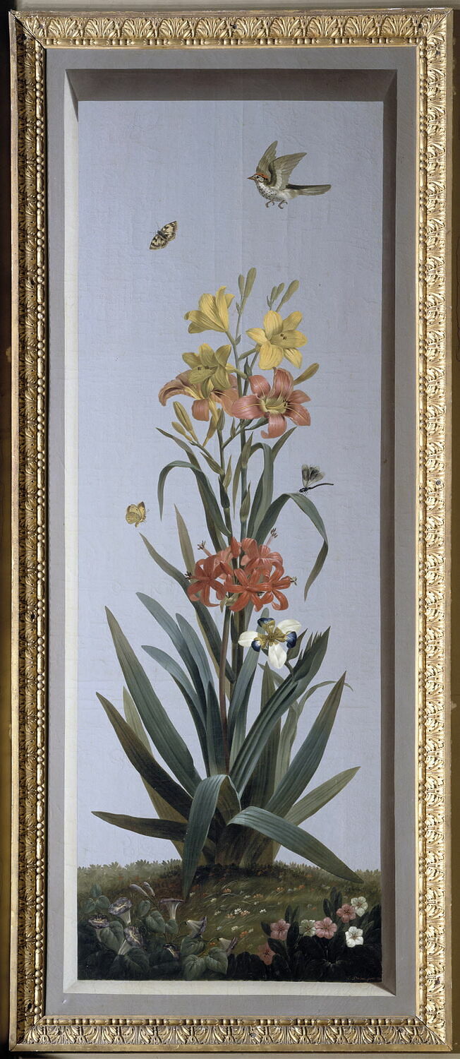 Huit tableaux représentant diverses espèces de lys :Lilium bulbiferum (Lis bulbifère), Crinum giganteum (Crinum géant), Dubois, Étienne, XIXe siècle (1810)