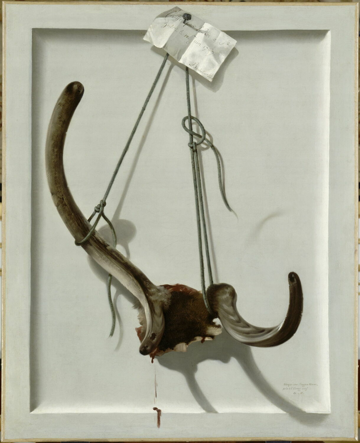 Bois de cerf à sa deuxième tête de velours chassé par le Roi à Saint-Hubert le 10 juin 1767., Bachelier, Jean Jacques, 3e quart du XVIIIe siècle (1767)