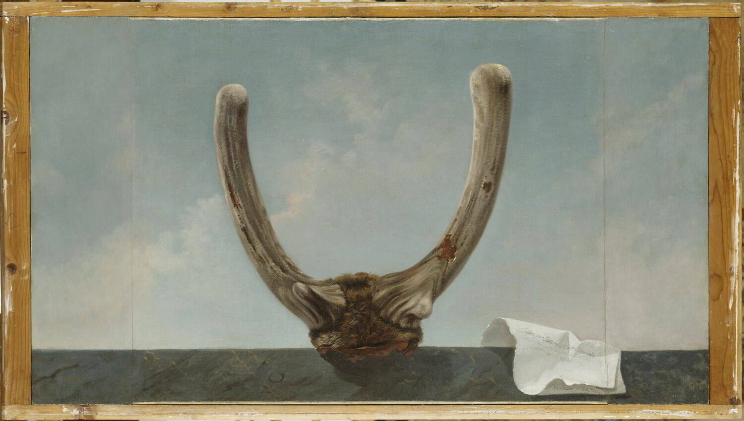 Tête d'un cerf chassé par le Roi près de l'Étang Royal, 14 mai 1773, Bachelier, Jean Jacques, 3e quart du XVIIIe siècle (1773)