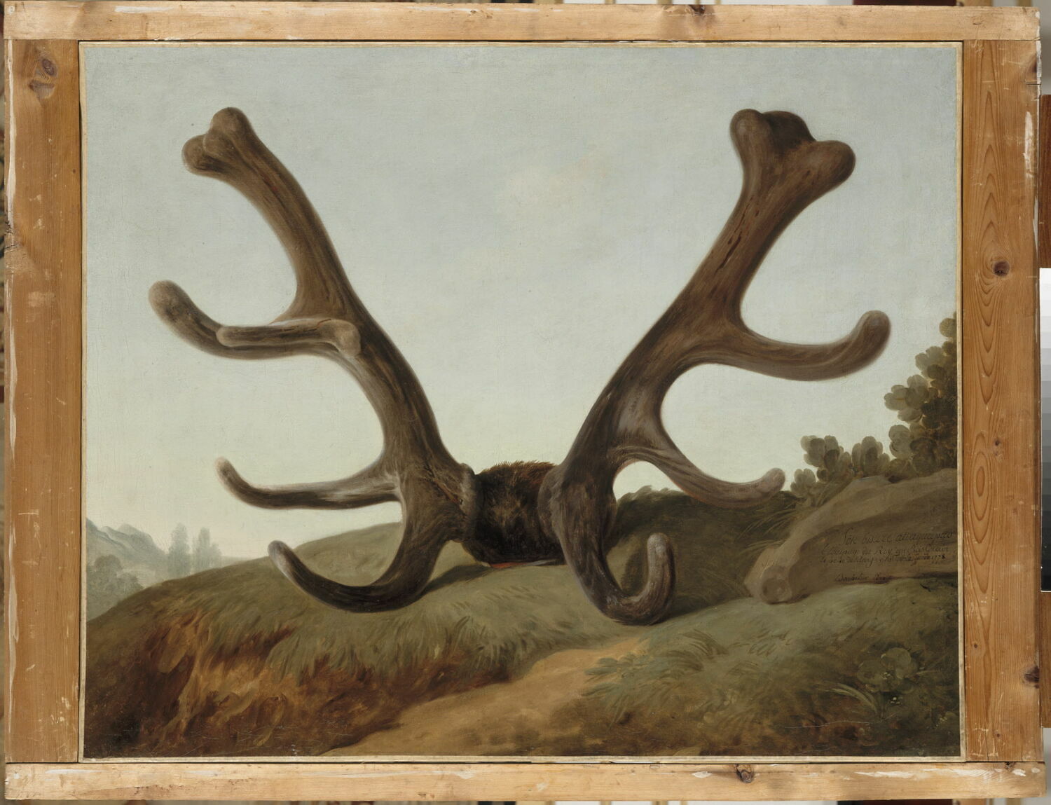 Tête d'un cerf attaqué par l'équipage du Roi au Bois Guérin, le 1er juin 1778, Bachelier, Jean Jacques, 3e quart du XVIIIe siècle (1778)