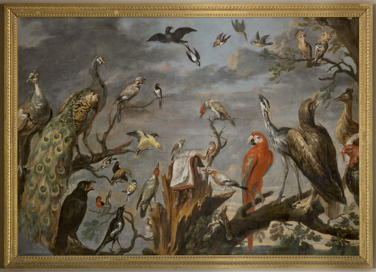 Concert d'oiseaux, Snyders, Frans, XVIIe siècle (1600 - 1700)
