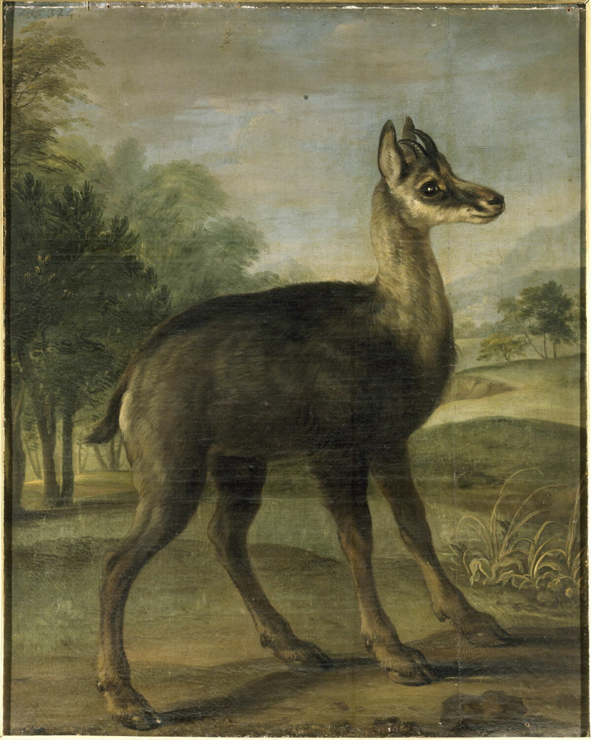 Jeune chevreuil dans un paysage, Bernaerts, Nicasius, XVIIe siècle (1600 - 1700)