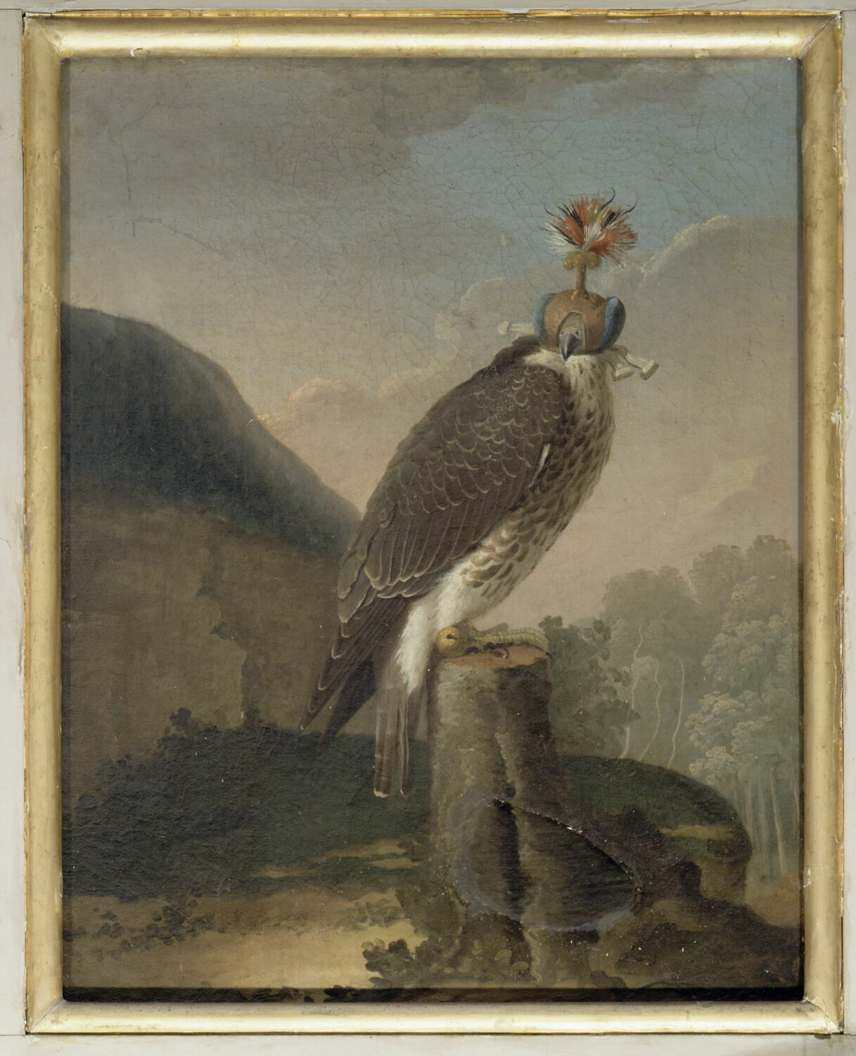 Faucon chaperonné ; étude, Anonyme, XVIIe siècle (1600 - 1700)