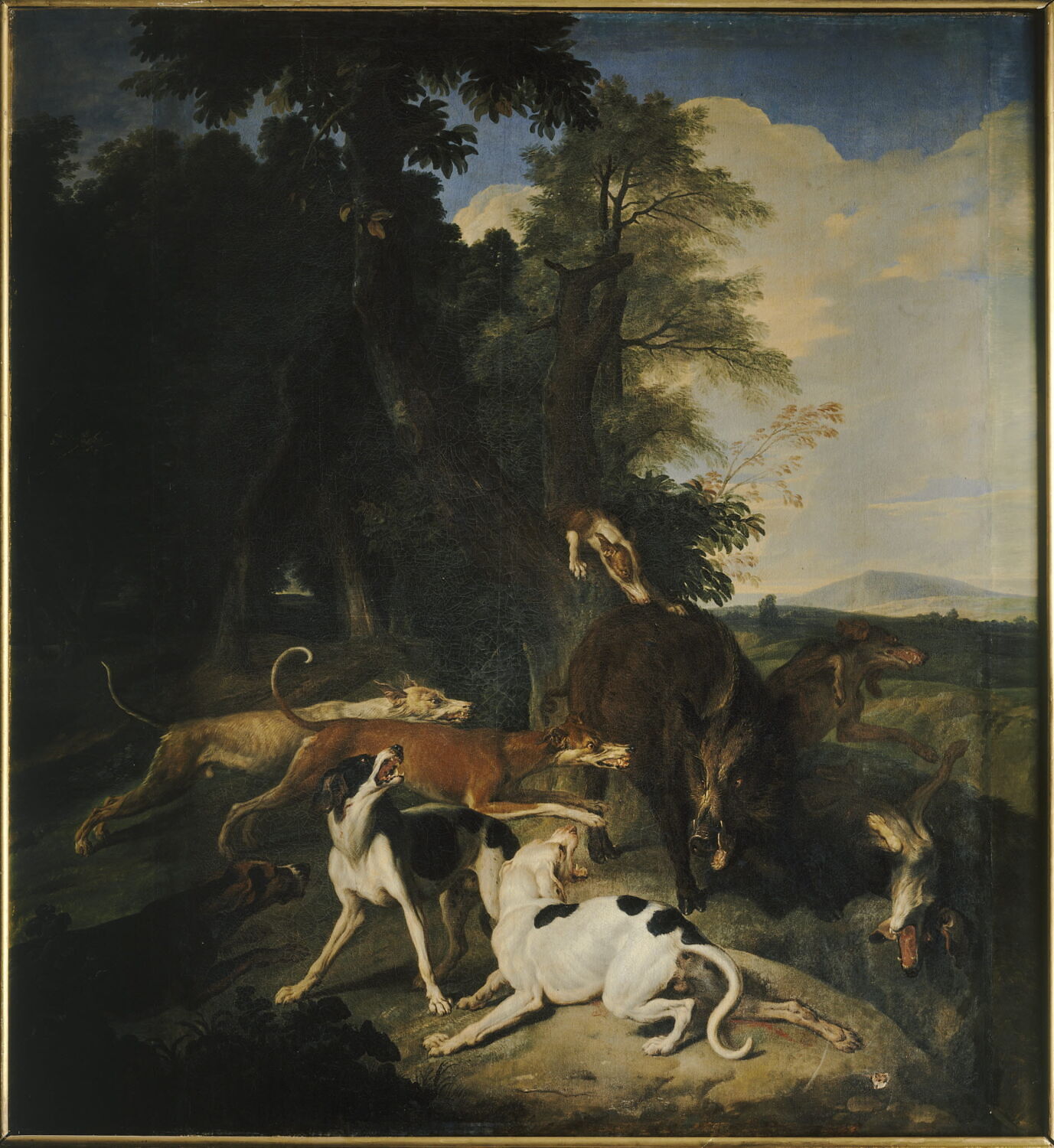 Sanglier faisant tête aux chiens, Desportes, Alexandre-François, Début du XVIIIe siècle (1702)