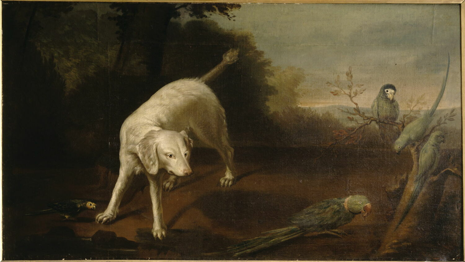 Chien épagneul blanc et perroquet, Desportes, Alexandre-François, XVIIIe siècle (1700 - 1800)