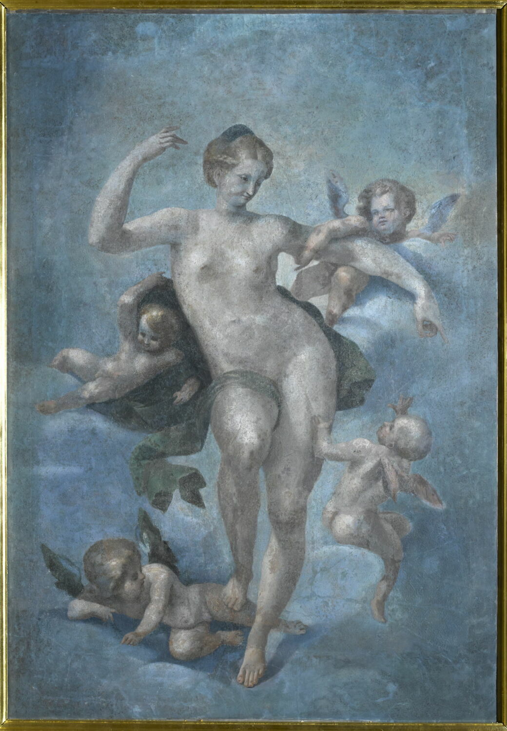 Venus, Dubois, Ambroise, XVIe siècle (1500 - 1600)