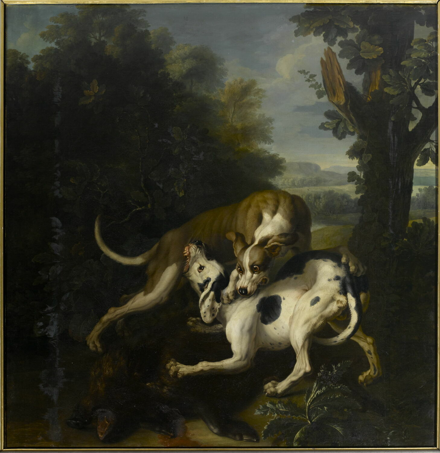 Combat de deux chiens autour de la dépouille d'un sanglier, Desportes, Nicolas, XVIIIe siècle (Salon de 1757) (1757)