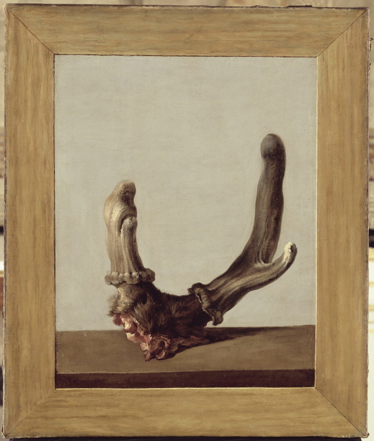 Bois de cerf, Oudry, Jean-Baptiste, XVIIIe siècle (1700 - 1800)