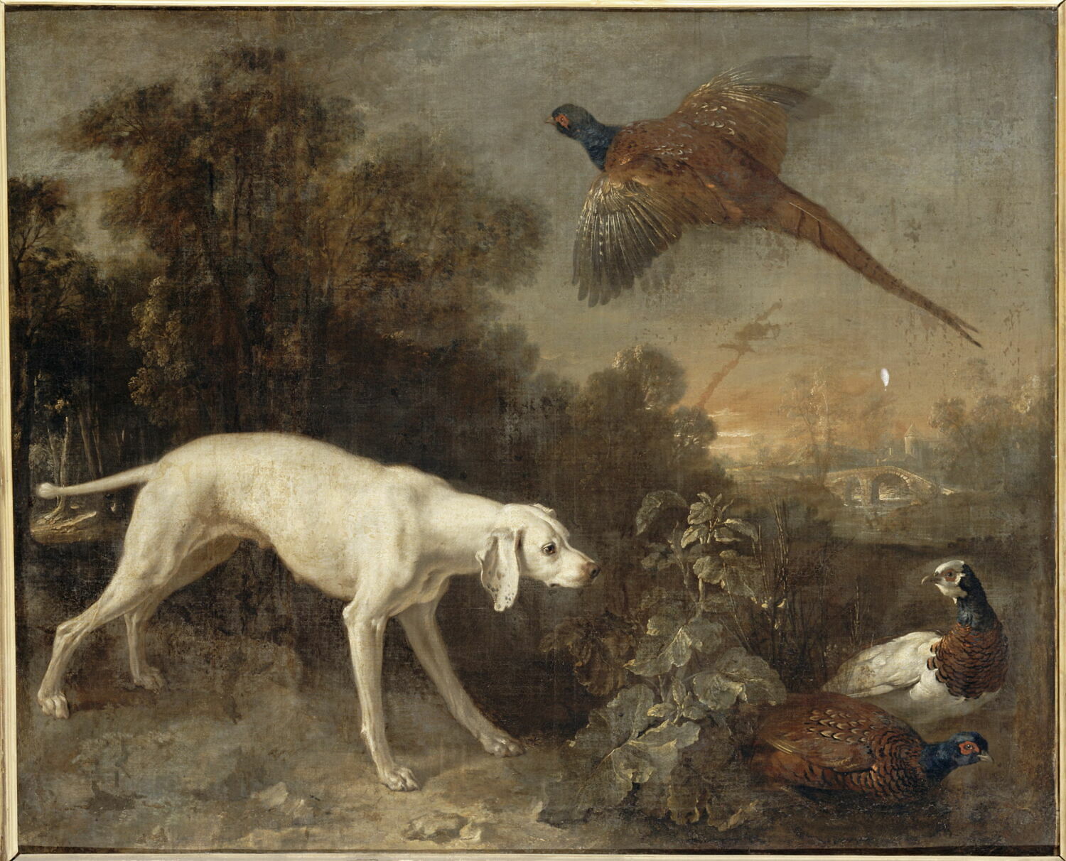 Lise, chienne de la meute de Louis XV, Oudry, Jean-Baptiste, XVIIIe siècle (1725 - 1732)