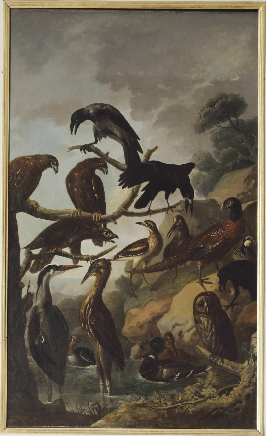 Oiseaux assemblés près d'un marécage, Anonyme, XVIIe siècle (1600 - 1700)