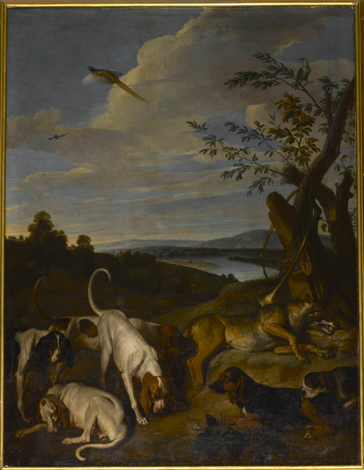 Des Chiens gardant un loup mort, Desportes, Alexandre-François, Début du XVIIIe siècle (1702)