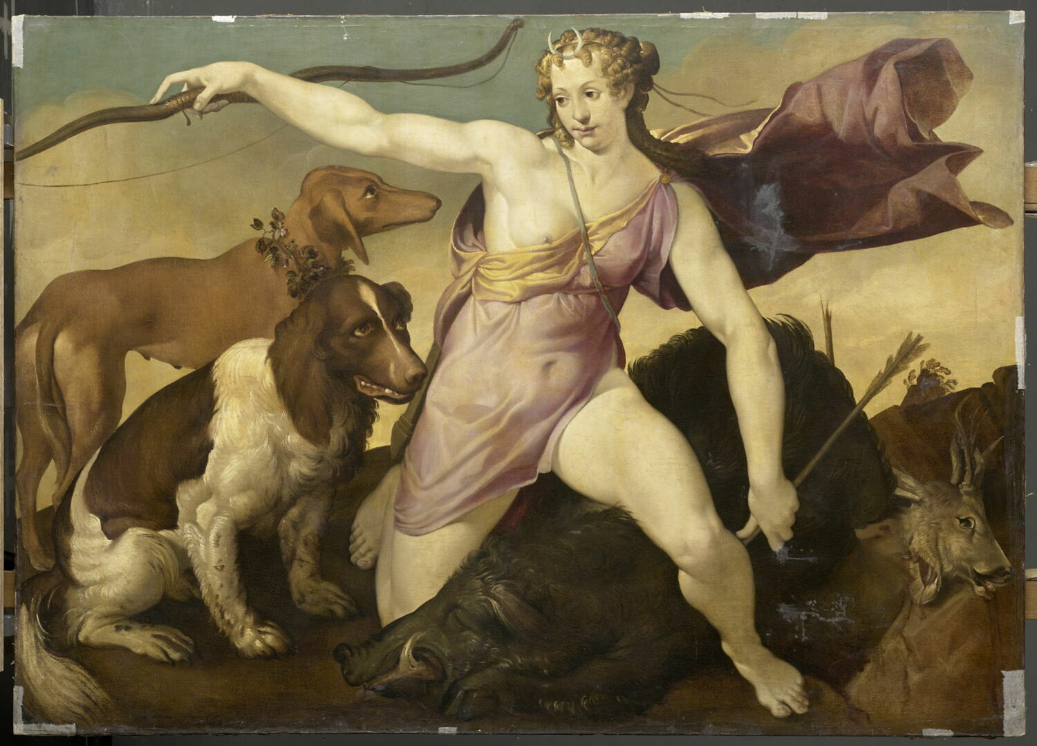 Diane chasseresse, Passerotti, Bartolomeo, 2e moitié du XVIe siècle (1550 - 1600)