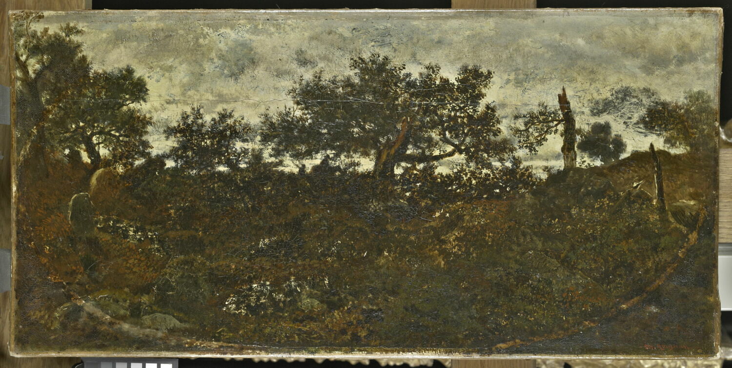 Le plateau de Bellecroix, Rousseau, Théodore, 2e quart du XIXe siècle (1825 - 1850)