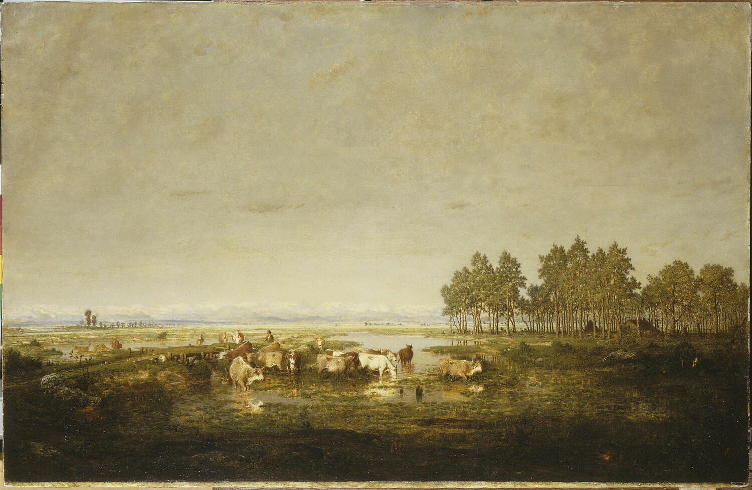 Un marais dans les Landes, Rousseau, Théodore, 3e quart du XIXe siècle (1850 - 1875)