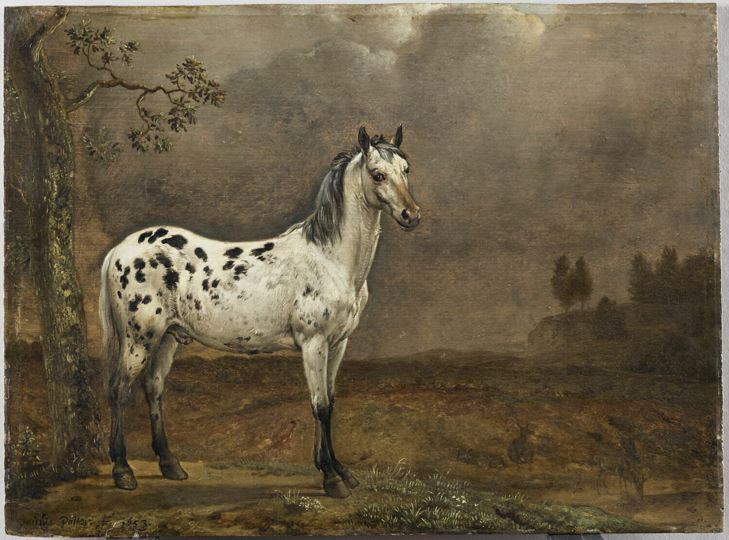 Le Cheval pie, Potter, Paulus, Milieu du XVIIe siècle (1653)