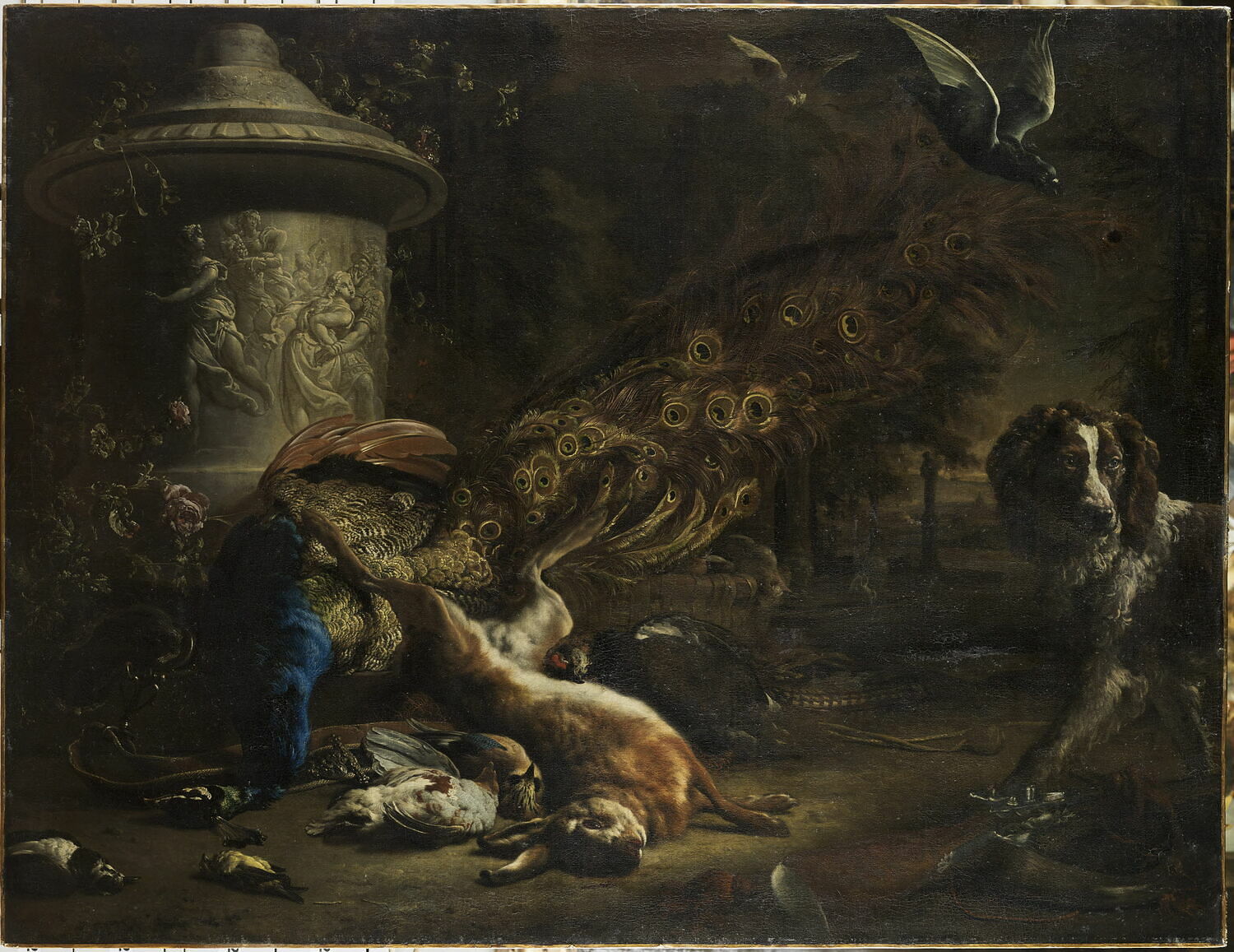 Nature morte au paon et au chien, Weenix, Jan, XVIIe siècle (1696)
