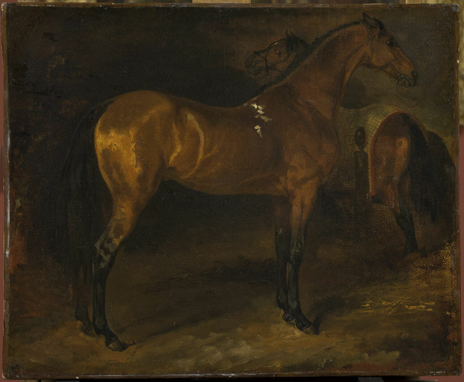 Cheval espagnol dans une écurie, Géricault, Théodore,  (1810 - 1813)