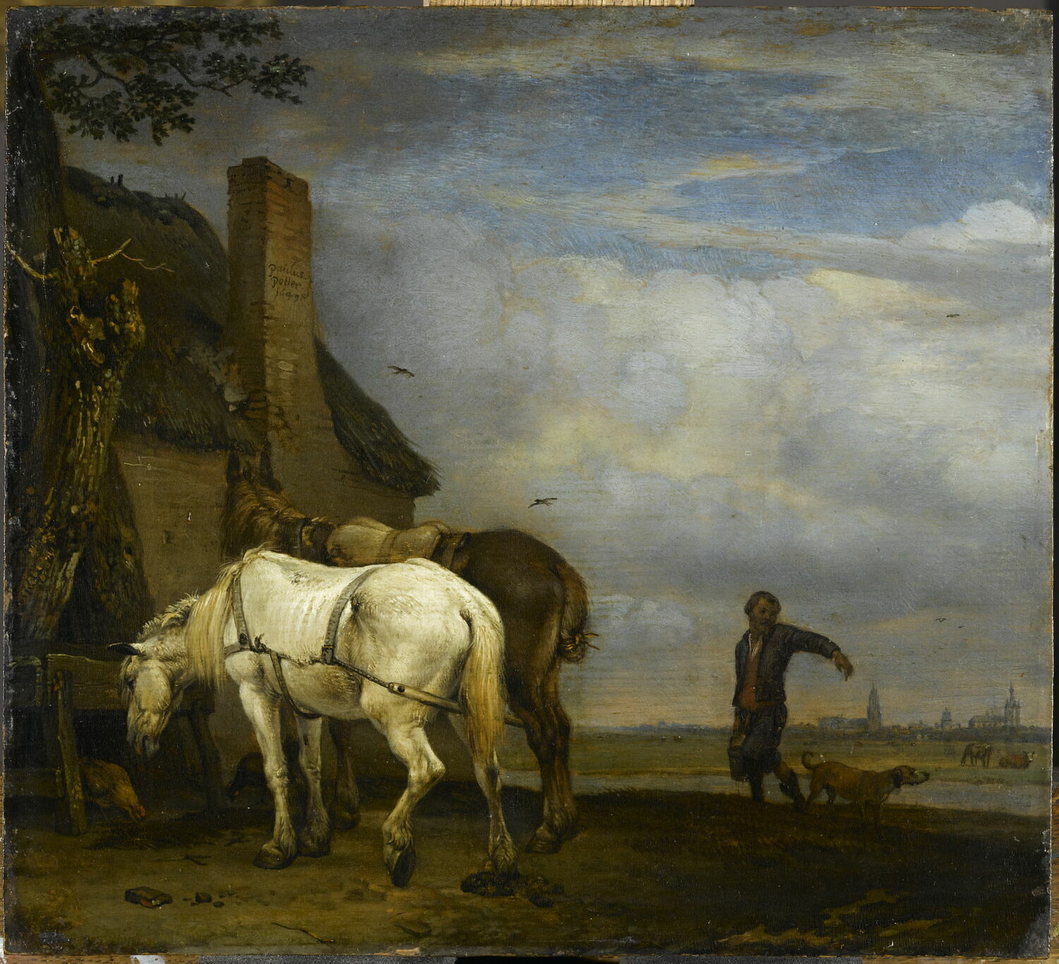 Deux Chevaux près d'une auge devant une chaumière, Potter, Paulus, 2e quart du XVIIe siècle (1649)
