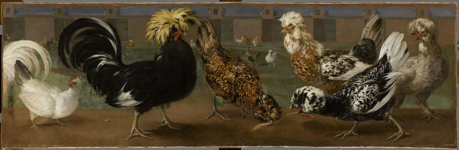Poule et coqs dans une basse-cour, Bernaerts, Nicasius, XVIIe siècle (1600 - 1700)