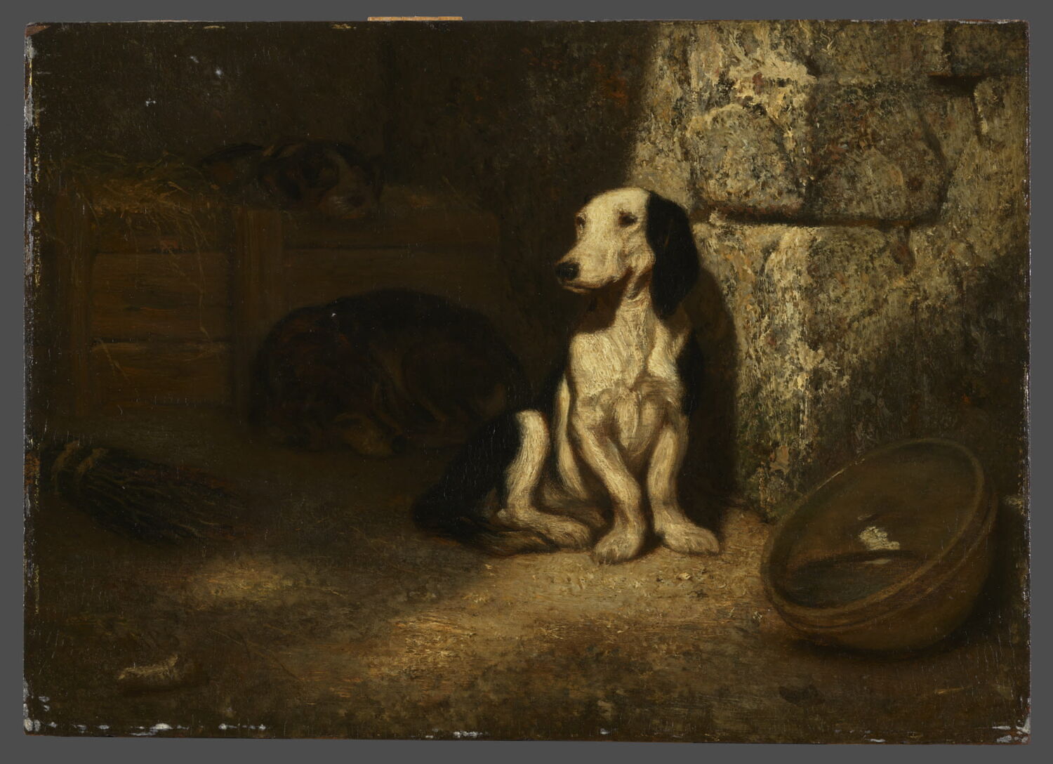 Chien basset noir et blanc au chenil., Decamps, Alexandre-Gabriel, 2e quart du XIXe siècle (1849)
