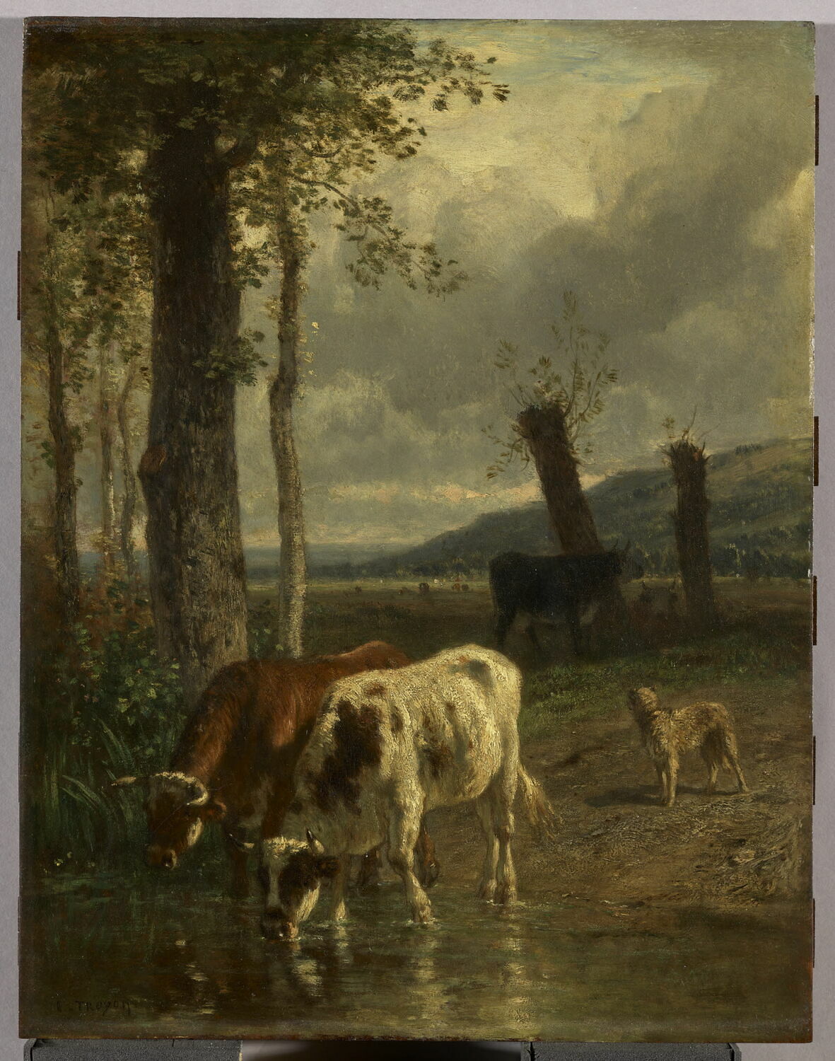 Vaches à l'abreuvoir, Troyon, Constant, 2e quart du XIXe siècle (1825 - 1850)