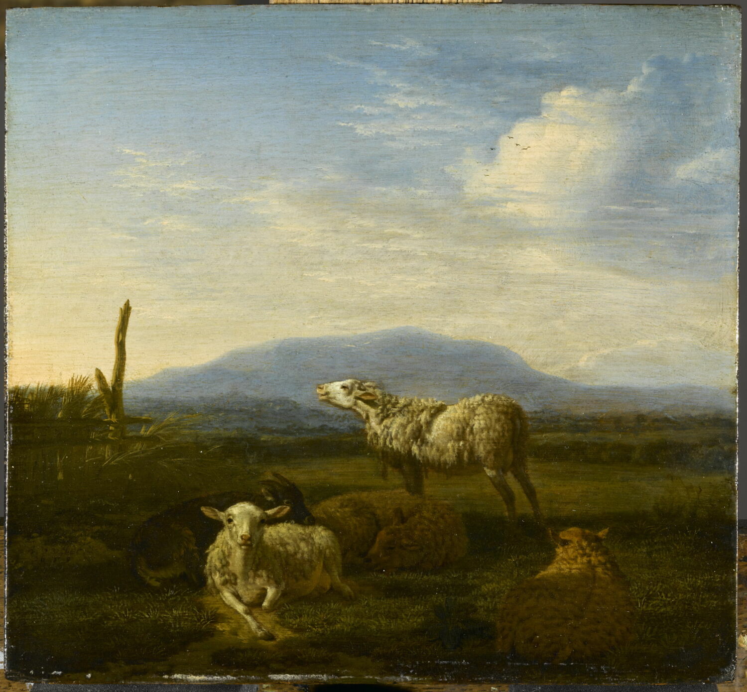 Paysage : moutons et chèvres, Velde, Adriaen van de, 3e quart du XVIIe siècle (1659)