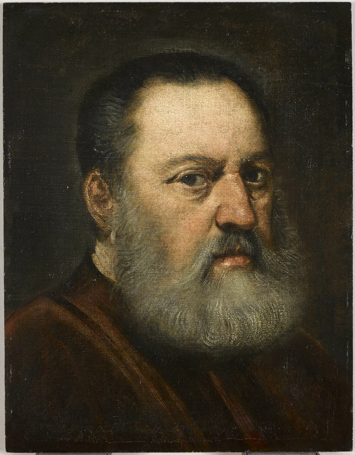 Portrait d'homme barbu, Tintoret, 3e quart du XVIe siècle (1550 - 1575)