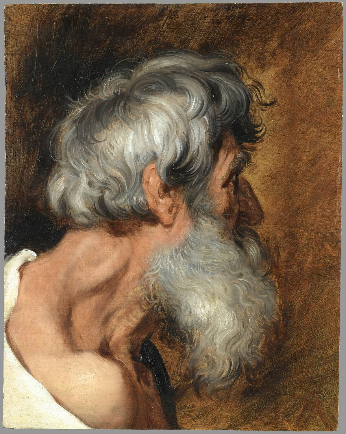 Vieillard de profil; tête d'étude, Питер Пауль Рубенс, XVII век (1600–1700)