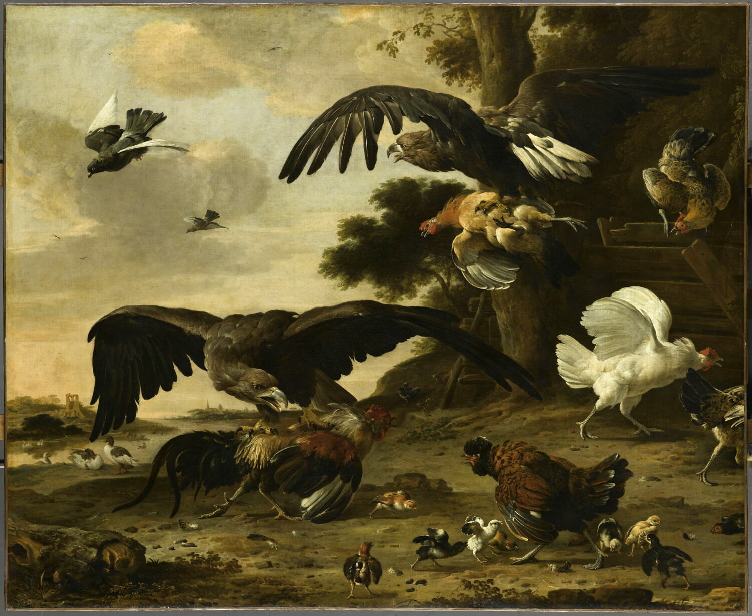 Aigles attaquant des poules, Hondecoeter, Melchior de, XVIIe siècle (1673)