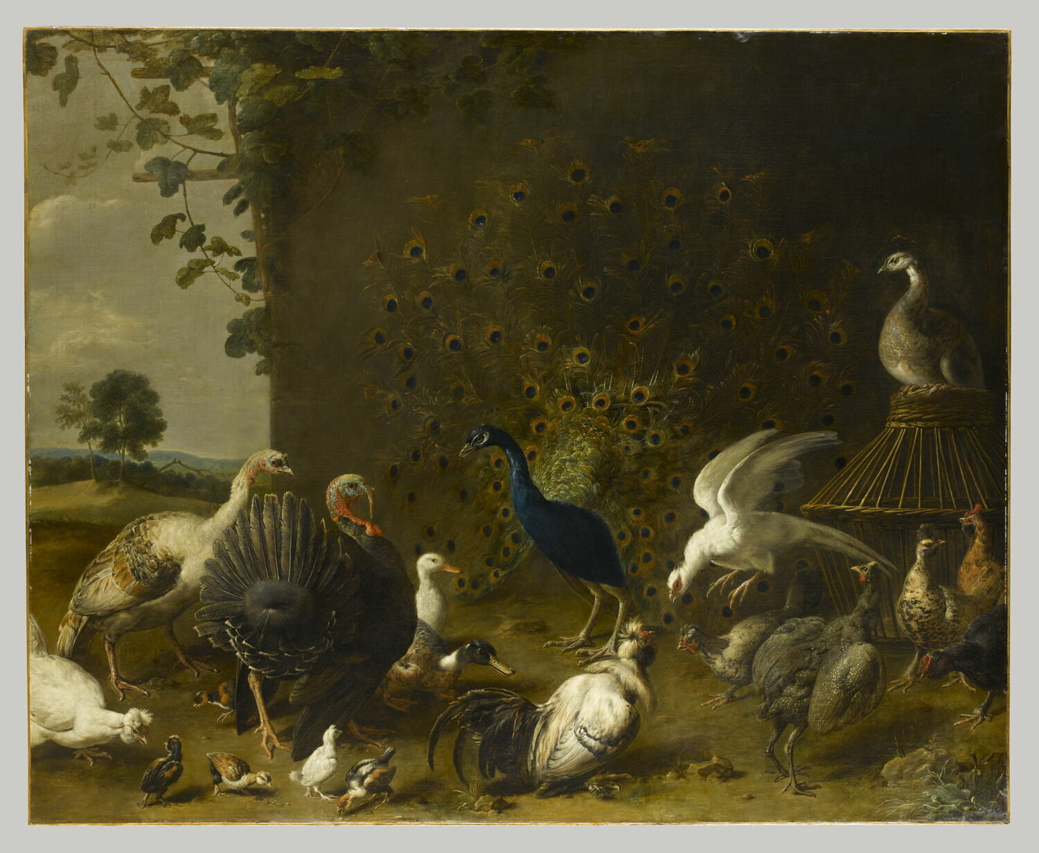 Paon et oiseaux de basse-cour, Utrecht, Adriaen van, 2e moitié du XVIIe siècle (vers 1640 - 1650)