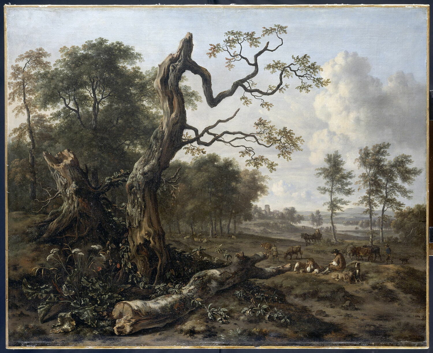 Lisière de forêt, Wijnants, Jan, XVIIe siècle (1668)