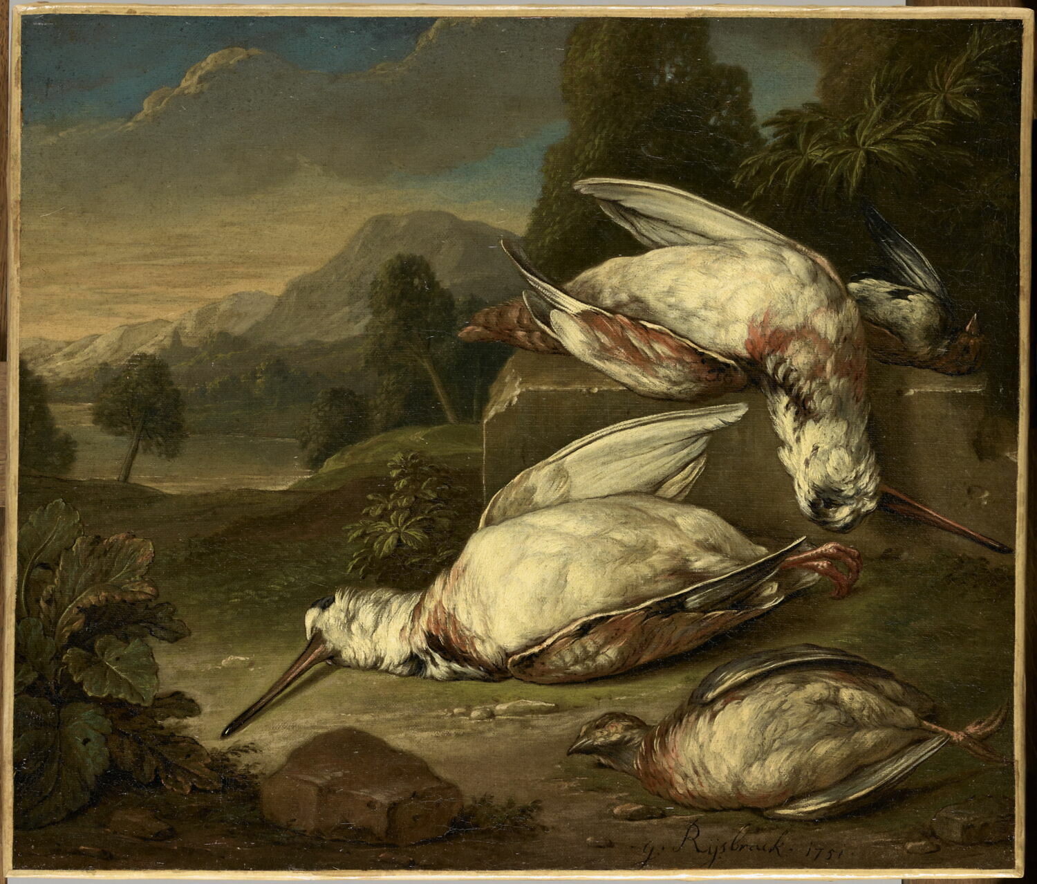 Gibier mort dans un paysage: deux bécasses blanches et deux autres oiseaux, Rysbrack, Geerard, XVIIIe siècle (1751)