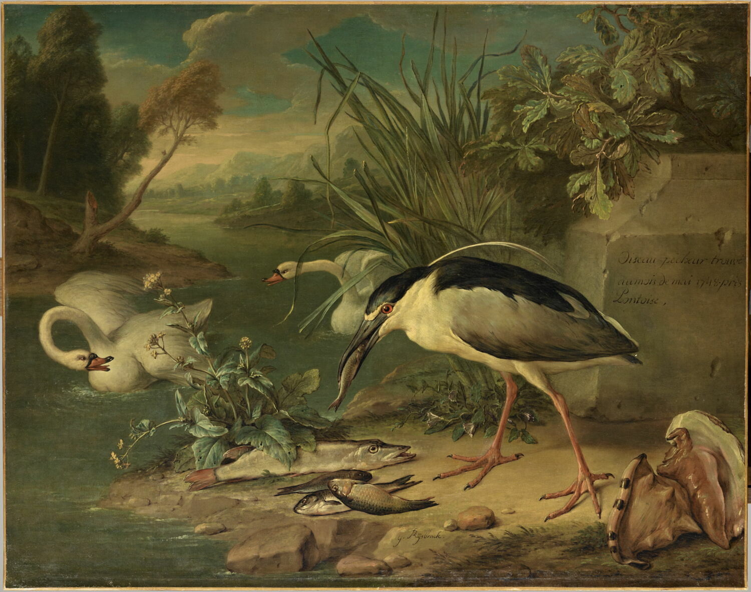 Héron bihoreau, deux cygnes, brochet et autres poissons d’eau douce, Rysbrack, Geerard, XVIIIe siècle (À dater nécessairement de la période pendant laquelle Rysbrack travaille pour Louis XV, séjournant à Paris de 1747 à 1754) (1747 - 1754)