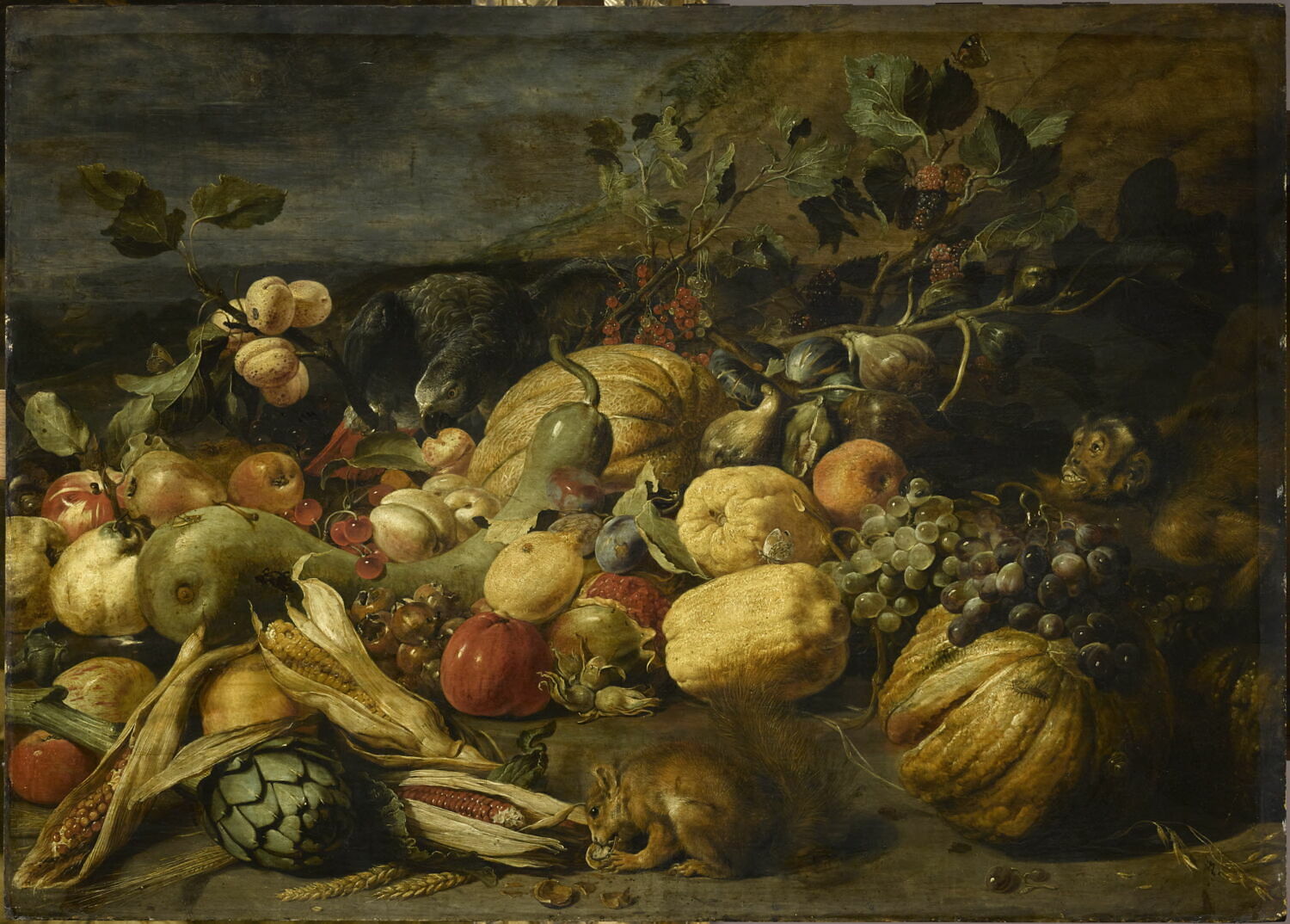 Fruits et légumes avec un singe, un perroquet et un écureuil, Snyders, Frans, 1e moitié du XVIIe siècle (vers 1620)
