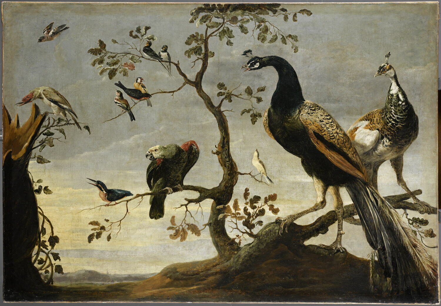 Concert d'oiseaux perchés sur des branches, Snyders, Frans, Début du XVIIe siècle (vers 1630)