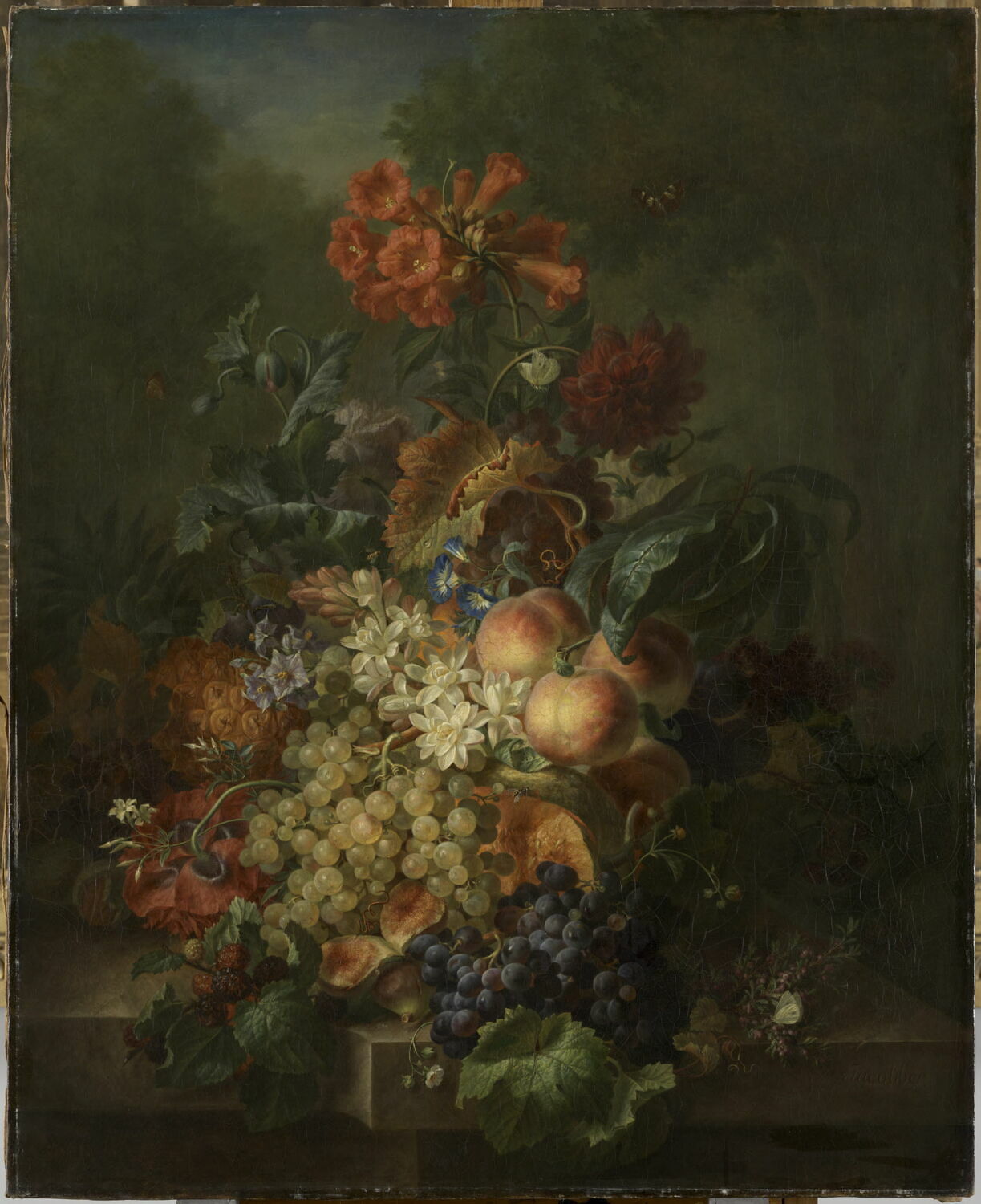 Nature morte : fleurs et fruits, Jacobber, Moïse, XIXe siècle (1800 - 1900)