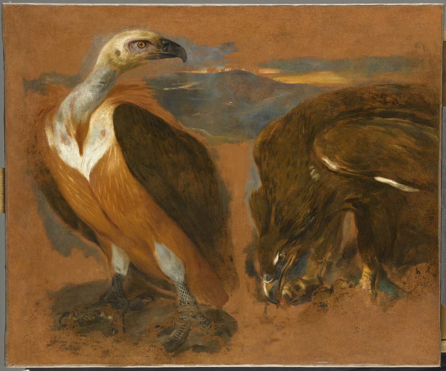 Un vautour et un aigle, Boel, Pieter, XVIIe siècle (1600 - 1700)