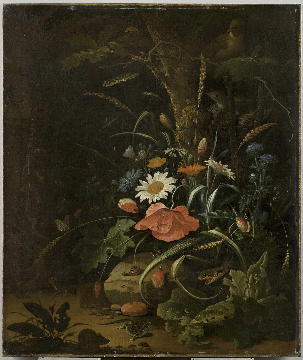 Fleurs, oiseaux, insectes et serpents, souris, lézard et grenouille, Абрахам Миньон, XVII век (1600–1700)