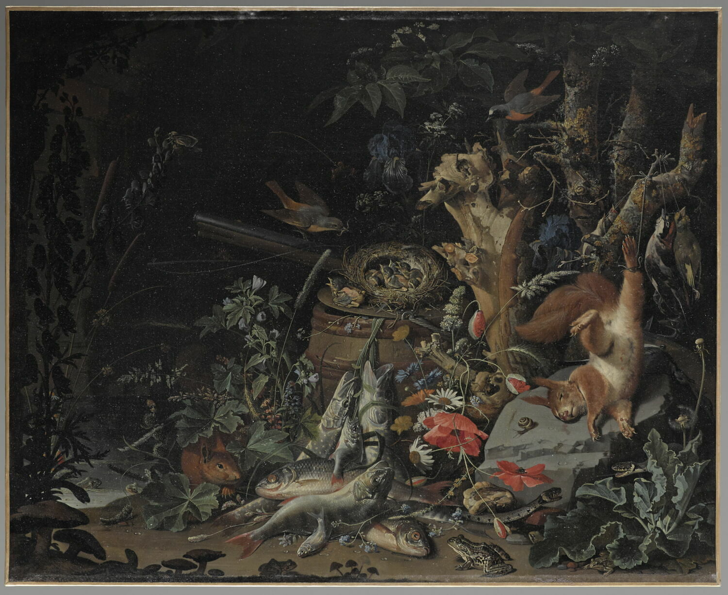 Nid de rouges-queues à front blanc, Mignon, Abraham, XVIIe siècle (vers 1670)