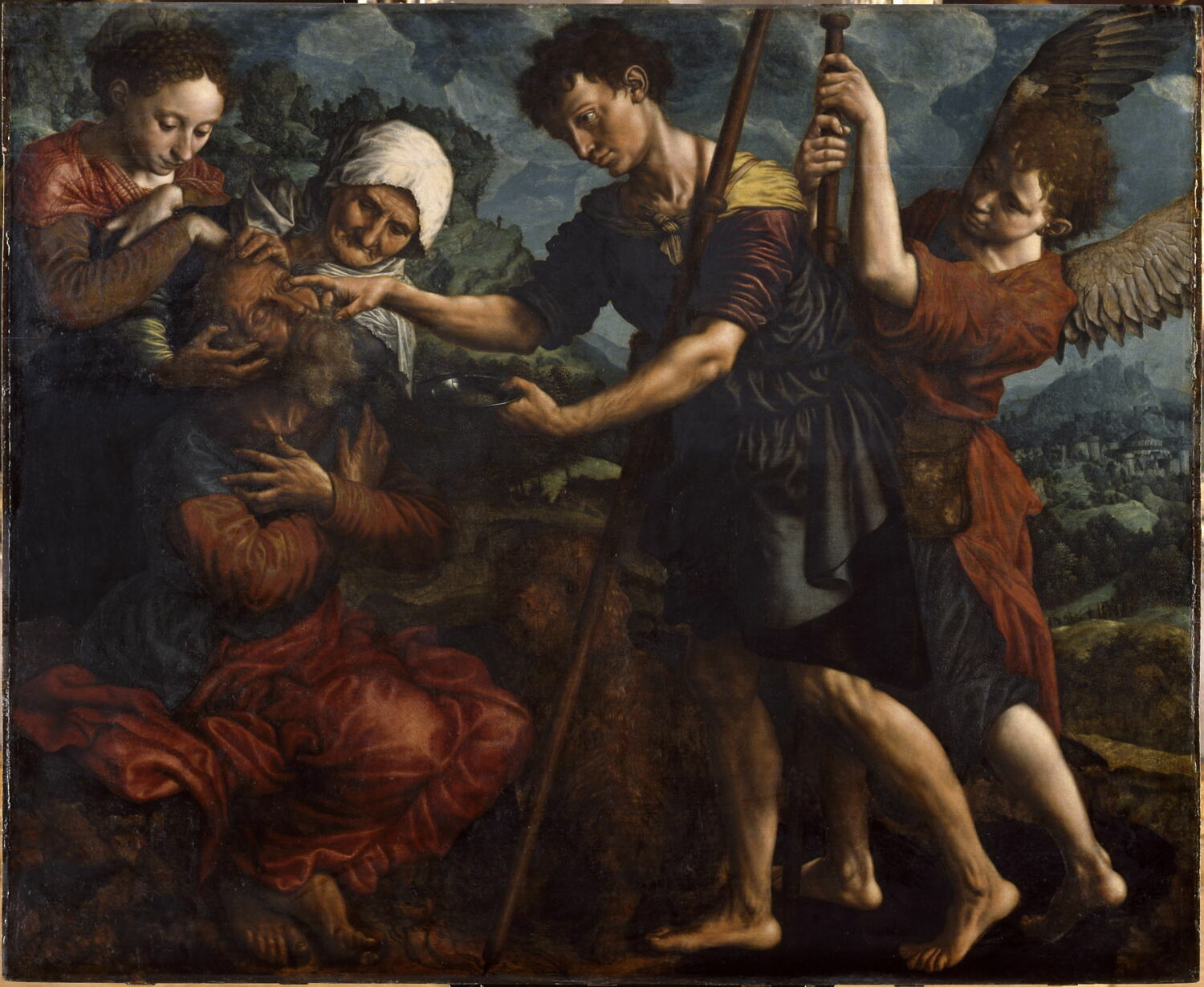 Le jeune Tobie rend la vue à son père, Hemessen, Jan Sanders van, Milieu du XVIe siècle (1555)