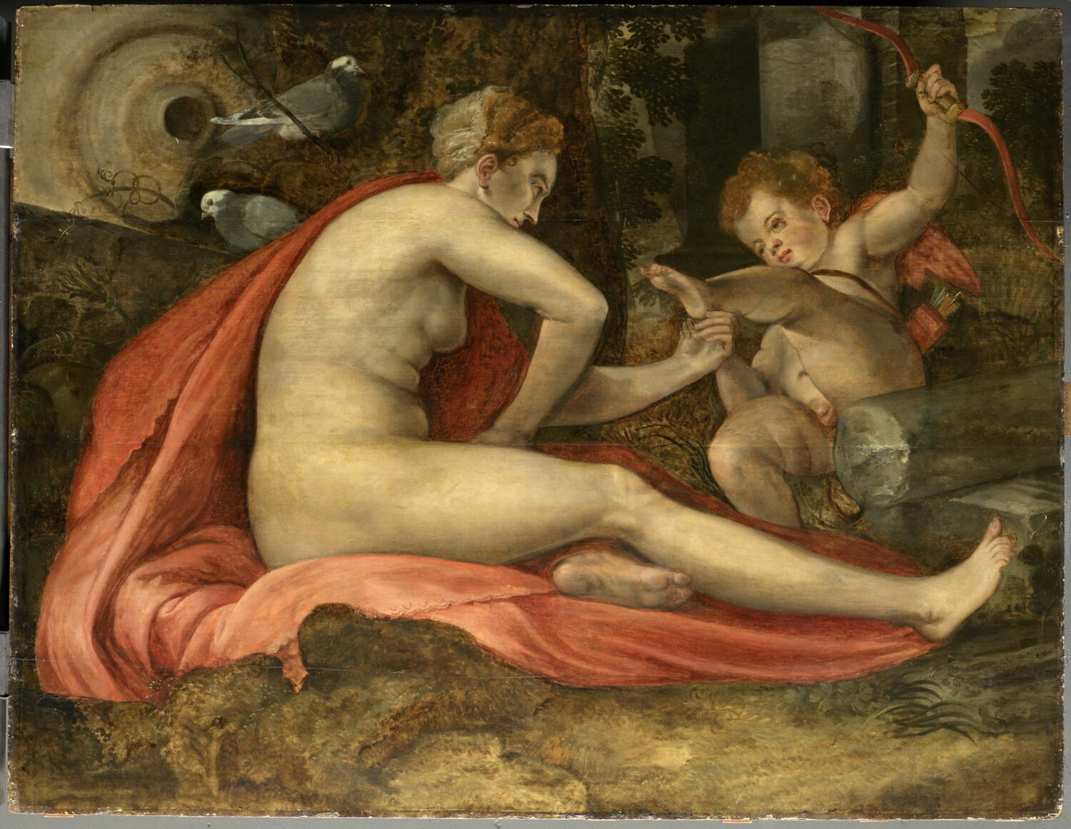 Vénus et l'Amour, Floris, Frans, XVIe siècle (1564)