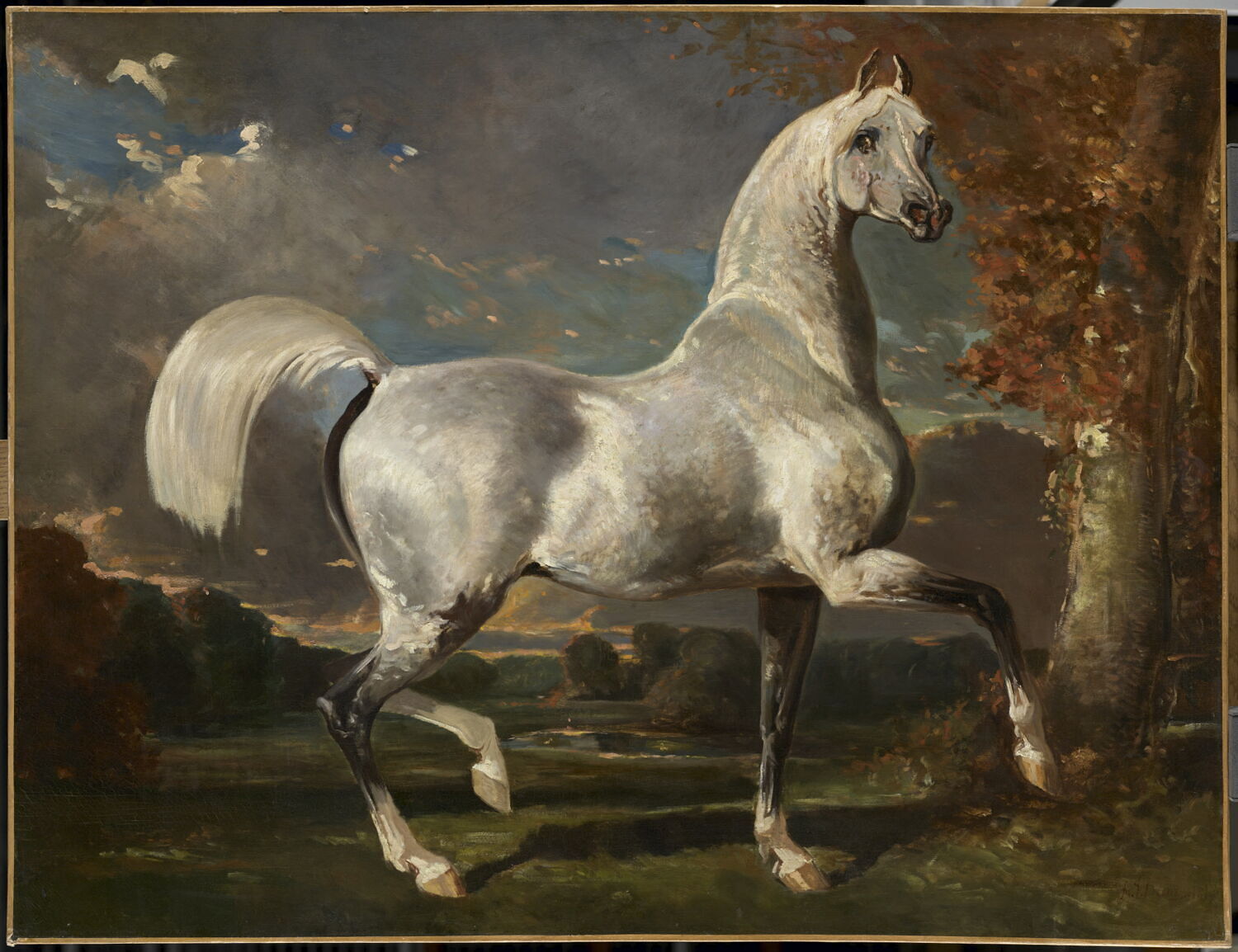 Étalon arabe, De Dreux, Alfred, 2e quart du XIXe siècle (1846)