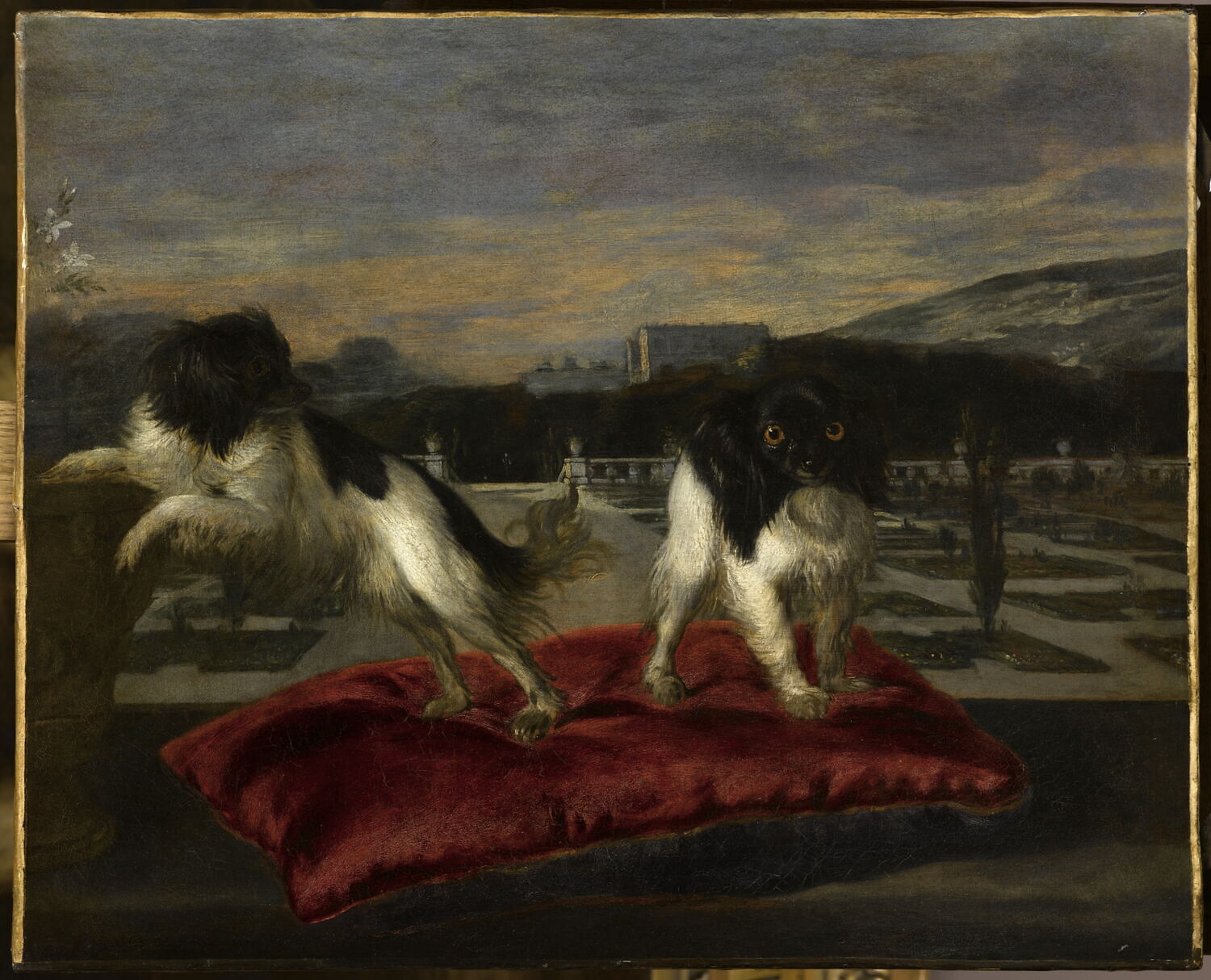 Deux épagneuls nains sur la terrasse d’un jardin italianisant, Bernaerts, Nicasius, 2e moitié du XVIIe siècle (1644)