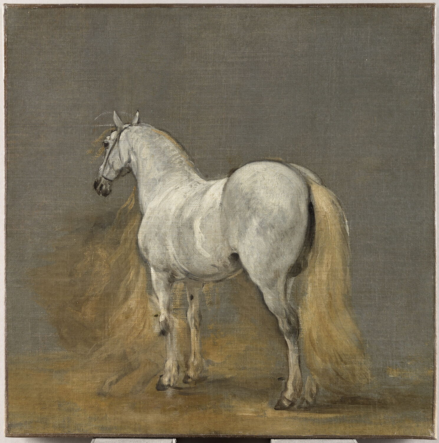 Cheval blanc, Van der Meulen, Adam Frans, 2e moitié du XVIIe siècle (vers 1670 - 1680)