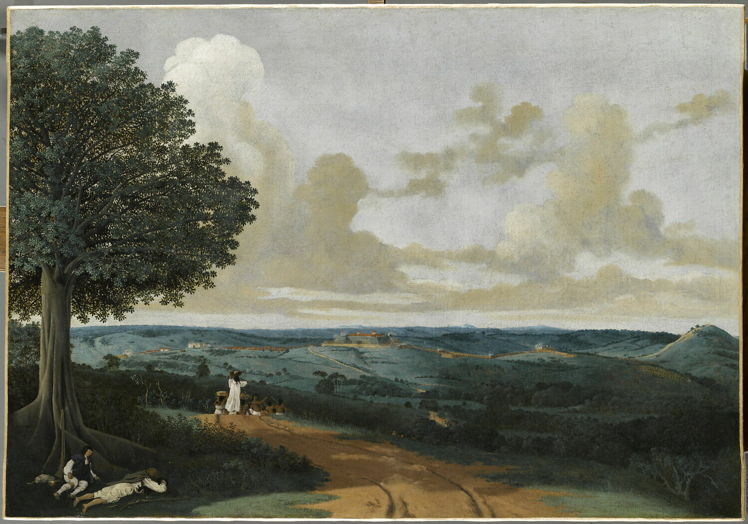 Paysage aux alentours de Porto Calvo au Brésil, avec un figuier au premier plan, Post, Frans, 2e quart du XVIIe siècle (1625 - 1650)